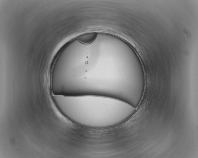 X0000111661515200907171109