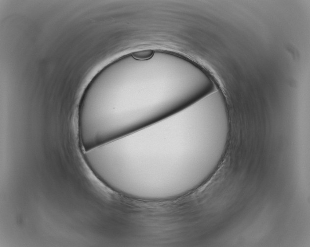 X0000111661516200907171109