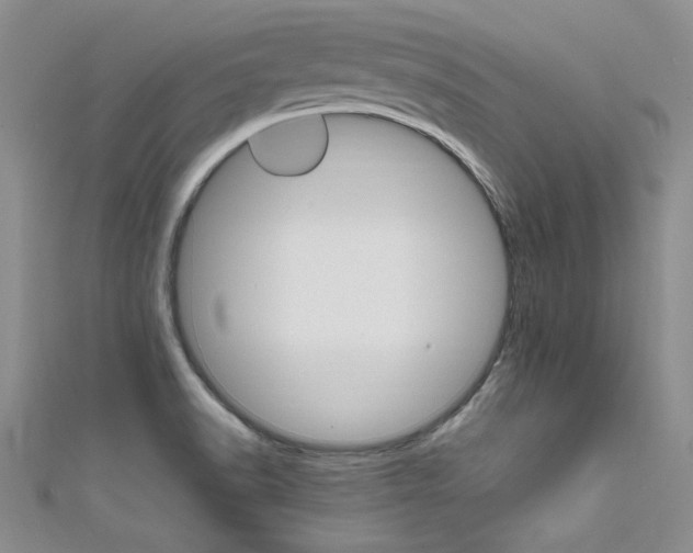 X0000111661518200907171109