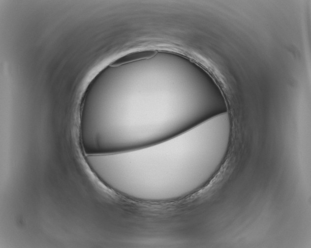 X0000111661520200907171109
