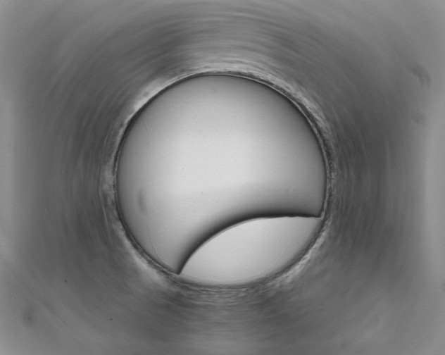 X0000111661521200907171109