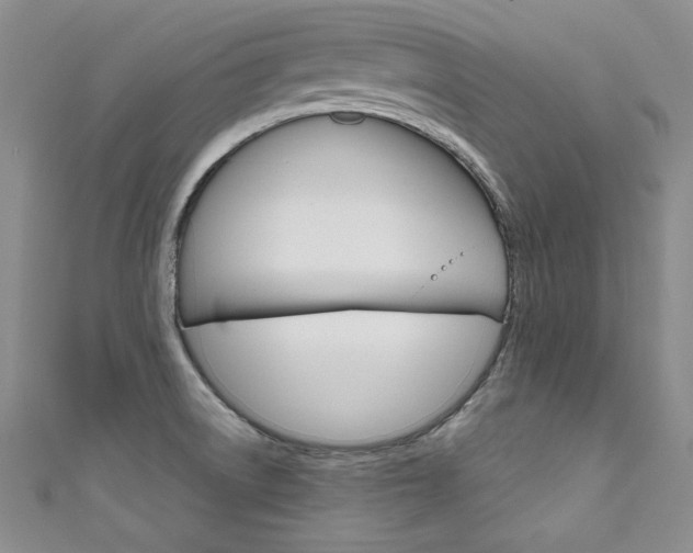 X0000111661522200907171109