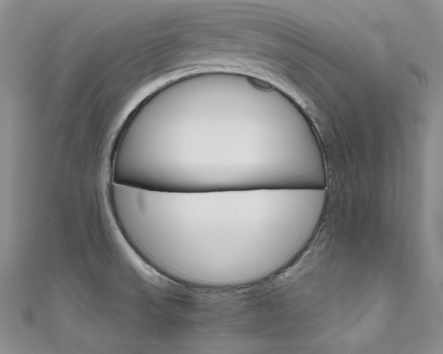 X0000111661523200907171109