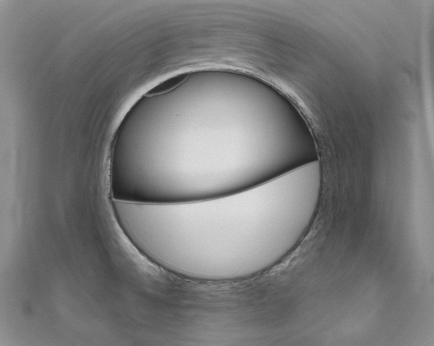 X0000111661524200907171109