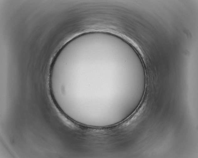 X0000111661525200907171109