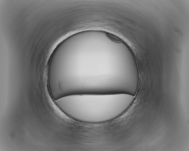 X0000111661526200907171109