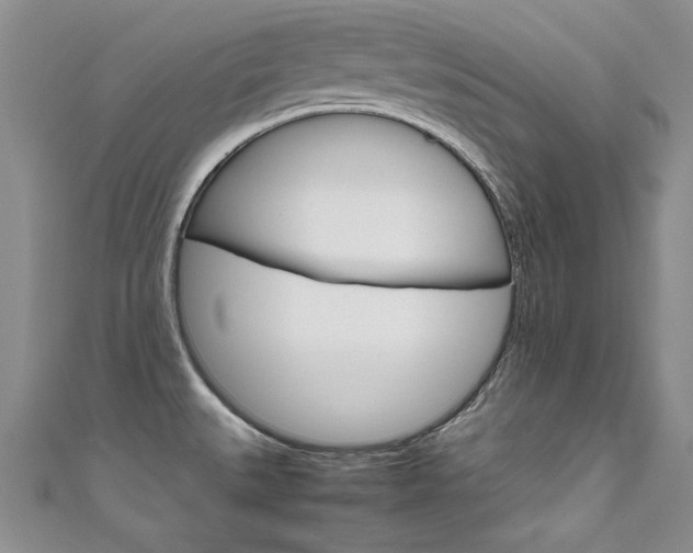 X0000111661527200907171109