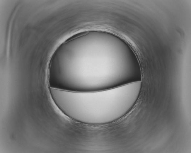 X0000111661528200907171109