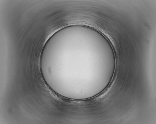 X0000111661529200907171109