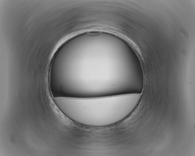 X0000111661530200907171109