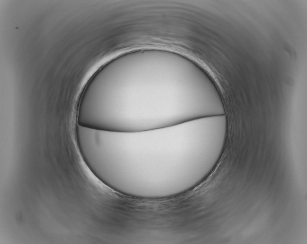 X0000111661531200907171109