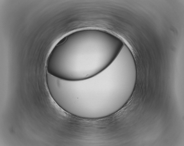 X0000111661532200907171109