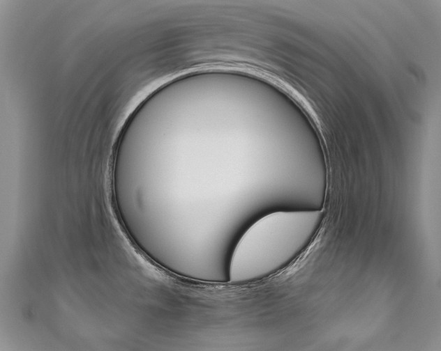 X0000111661533200907171109