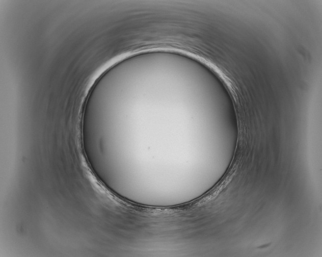 X0000111661534200907171109
