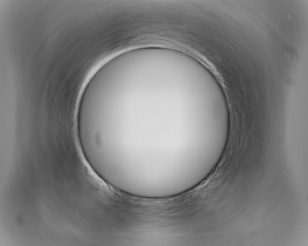 X0000111661536200907171109
