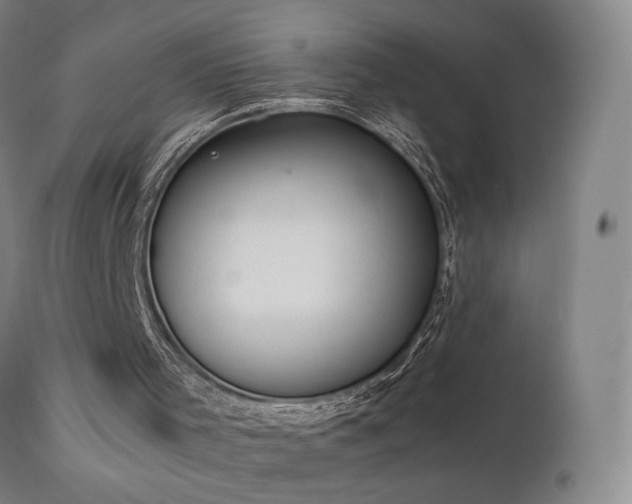 X0000111660001200907171622