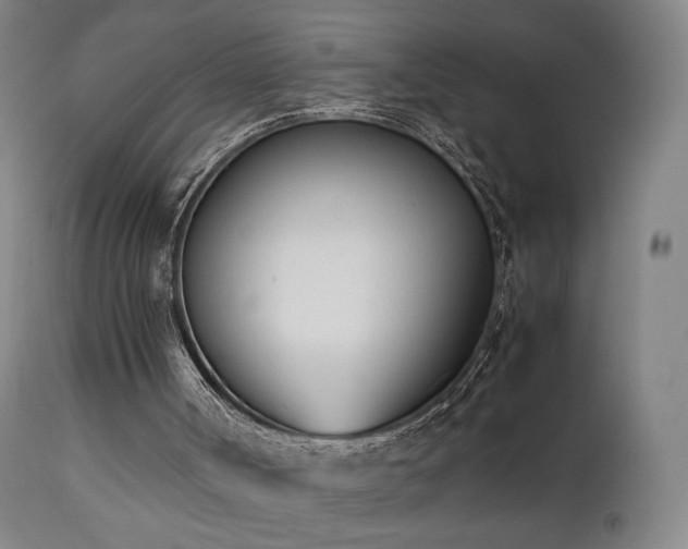 X0000111660002200907171622