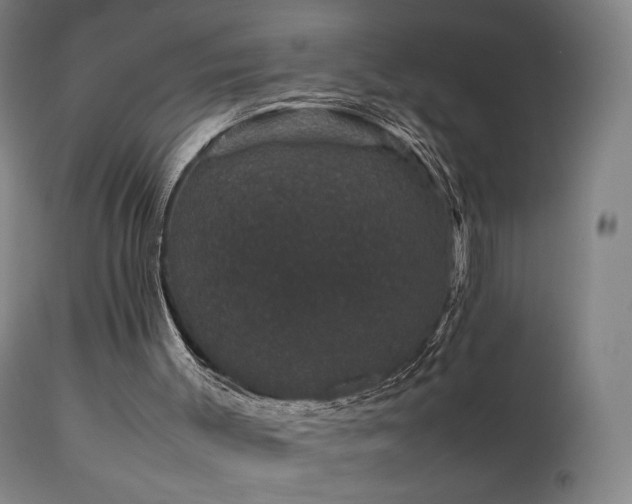 X0000111660003200907171622