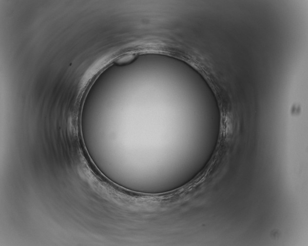 X0000111660004200907171622