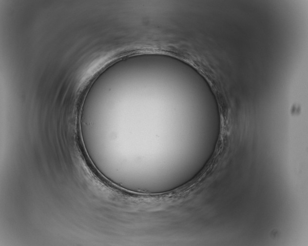 X0000111660005200907171622