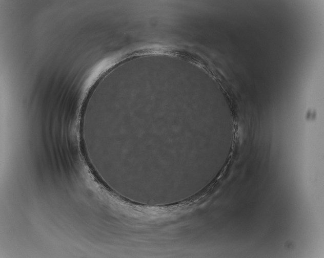 X0000111660006200907171622