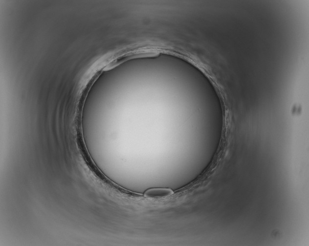 X0000111660007200907171622
