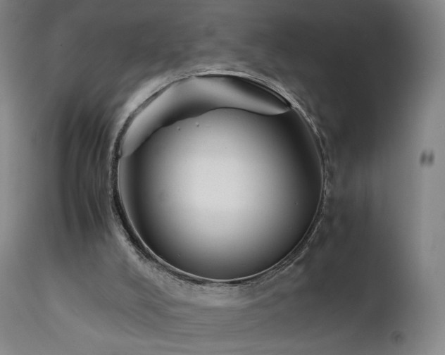 X0000111660008200907171622