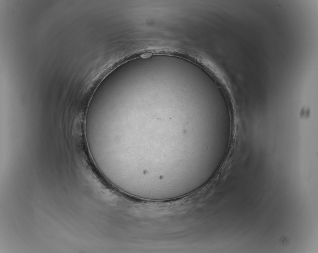 X0000111660009200907171622