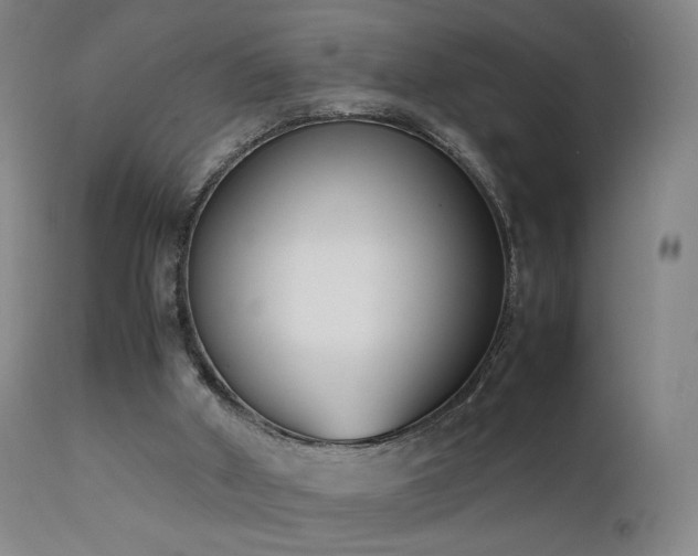 X0000111660010200907171622