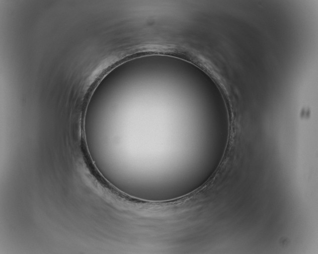 X0000111660011200907171622