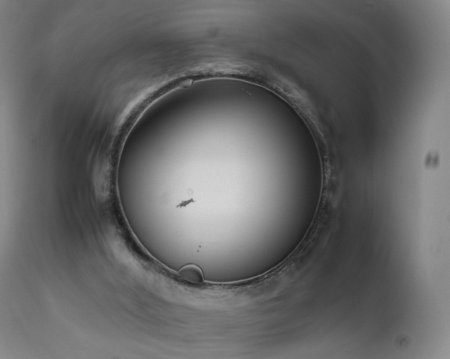 X0000111660012200907171622
