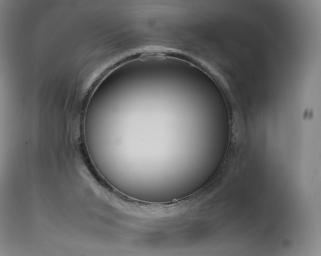 X0000111660015200907171622