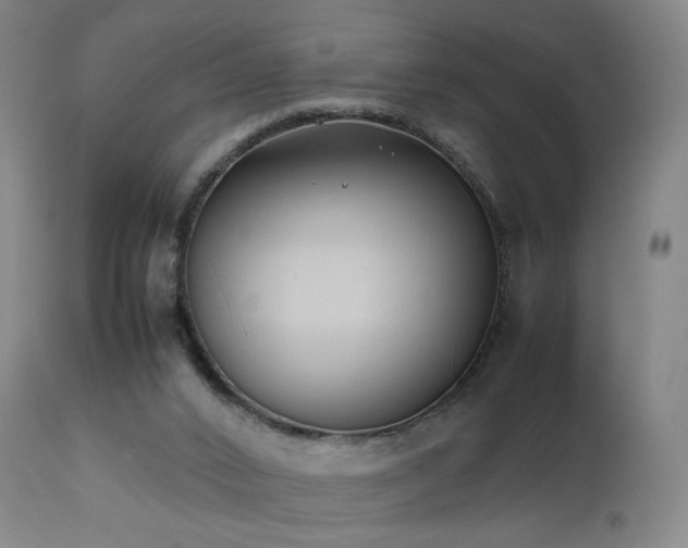 X0000111660016200907171622