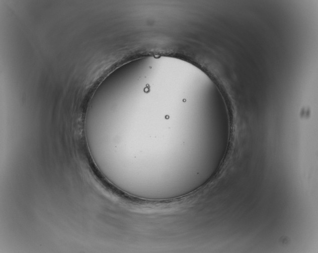 X0000111660017200907171621