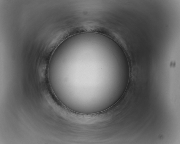 X0000111660018200907171621