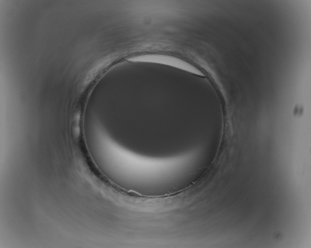 X0000111660019200907171621