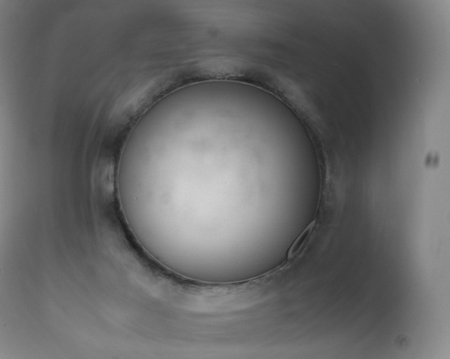 X0000111660021200907171621