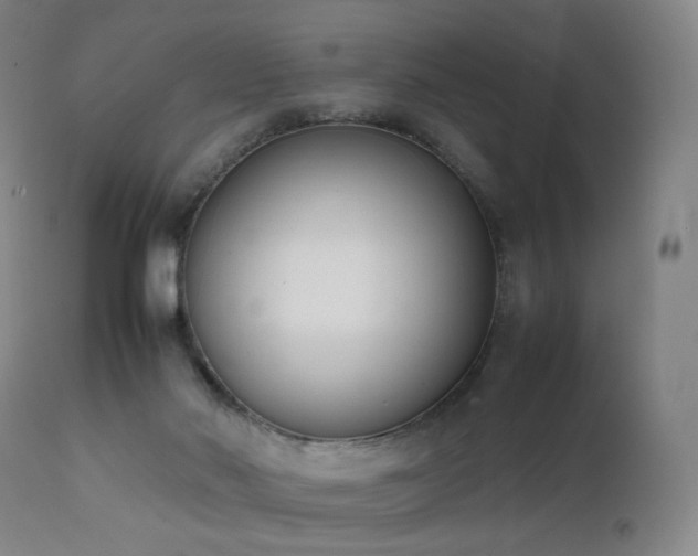 X0000111660022200907171621