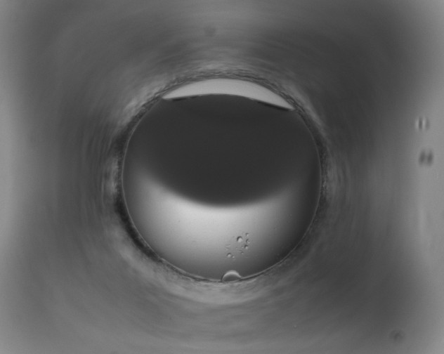 X0000111660023200907171621