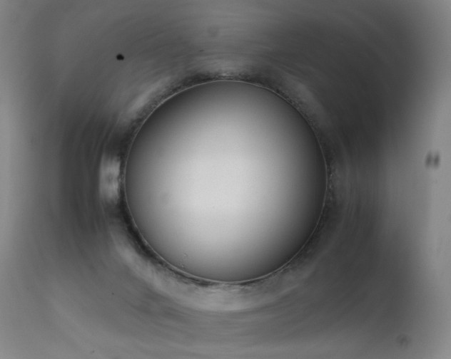 X0000111660024200907171621
