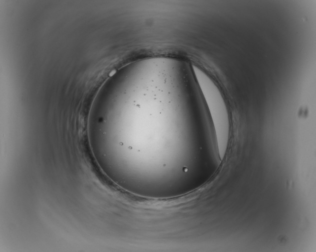 X0000111660025200907171621