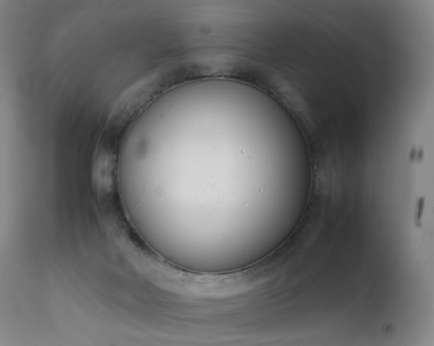 X0000111660026200907171621