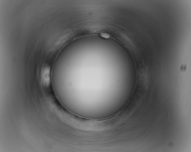 X0000111660028200907171621