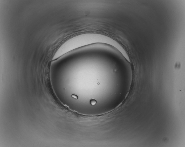 X0000111660029200907171621