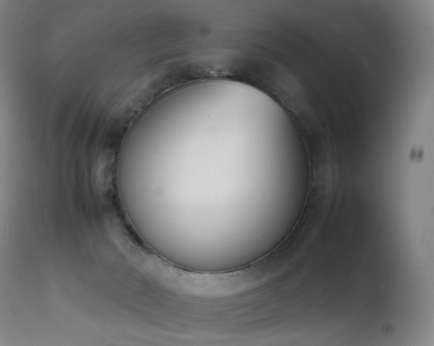 X0000111660030200907171621