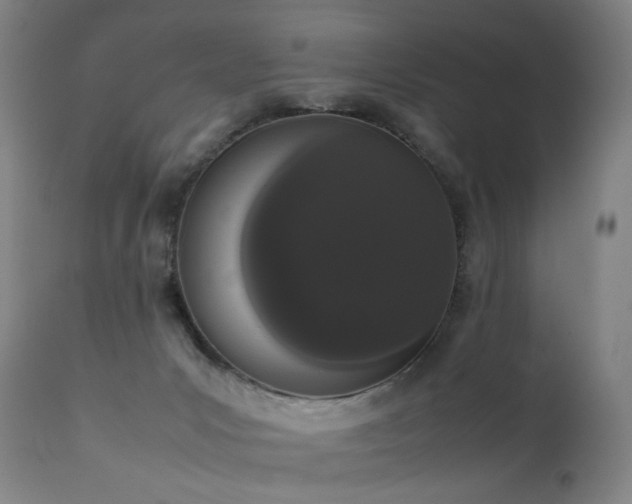 X0000111660031200907171621