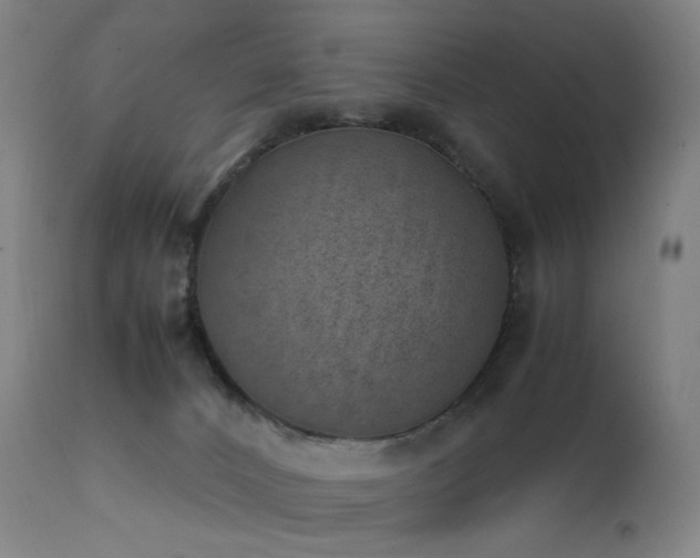 X0000111660032200907171621
