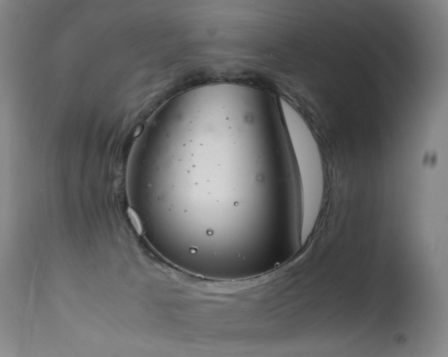 X0000111660033200907171621