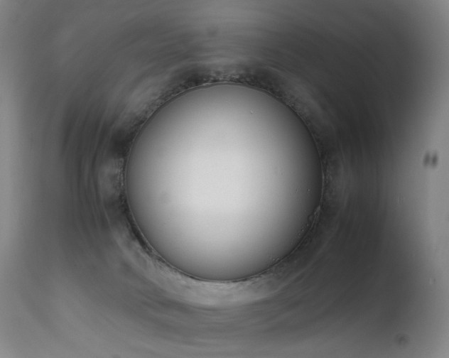 X0000111660034200907171621