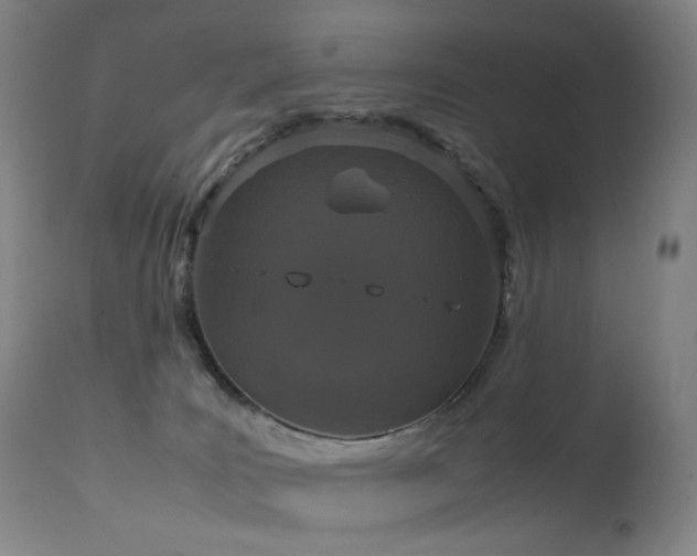 X0000111660035200907171621